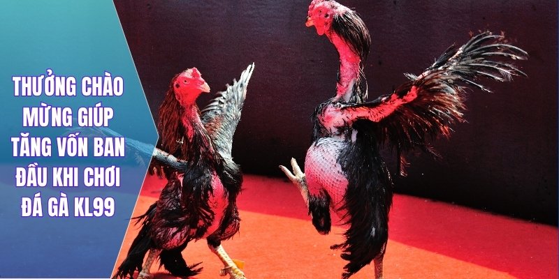 Thưởng chào mừng giúp tăng vốn ban đầu khi chơi đá gà KL99