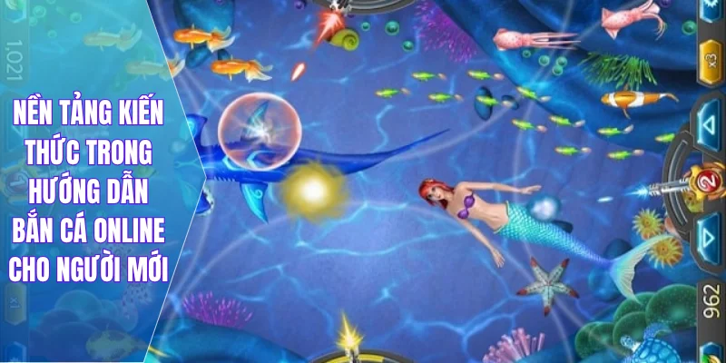 Nền tảng kiến thức trong hướng dẫn bắn cá online cho người mới