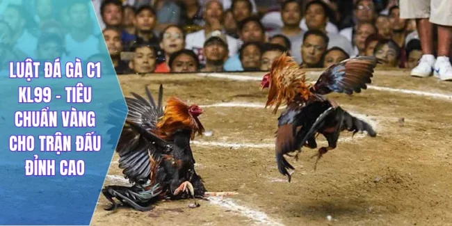 Luật Đá Gà C1