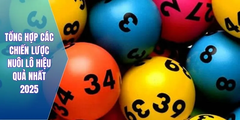 Tổng hợp các chiến lược nuôi lô hiệu quả nhất 2025