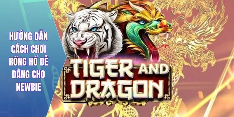 Hướng dẫn cách chơi rồng hổ dễ dàng cho newbie