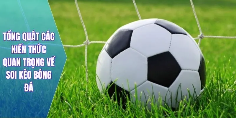 TOP những hình thức soi kèo bóng hay nhất 2025