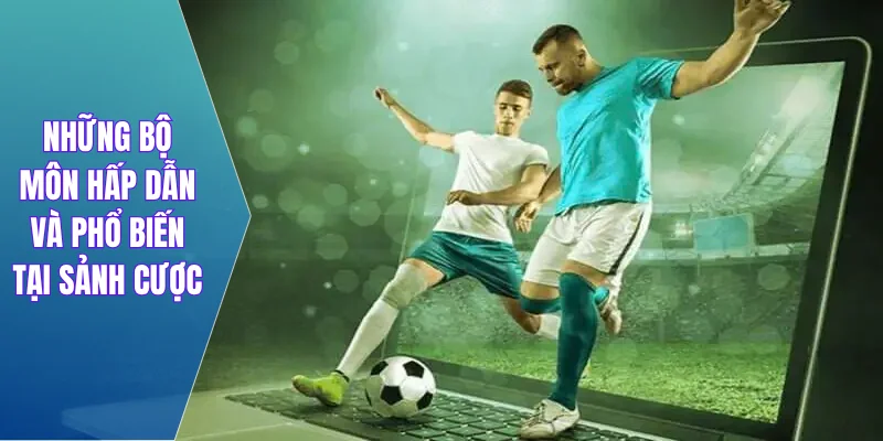 Những bộ môn hấp dẫn và phổ biến tại sảnh cược