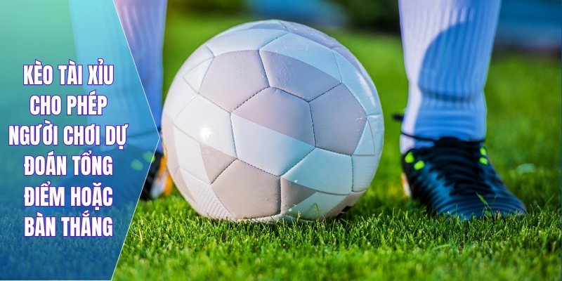 Kèo tài xỉu cho phép người chơi dự đoán tổng điểm hoặc bàn thắng